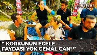 Erman Cemal Cana Posta Koydu  Survivor Panorama 10Bölüm [upl. by Mobley389]