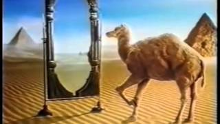 Camel Zigarettenwerbung [upl. by Anahsak]