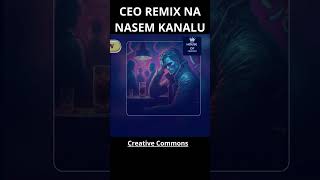 ACA LUKAS LOPOV  REMIX MUSIC Creative Commons copyrightfree remiix 2024 tiktok shorts [upl. by Spielman]