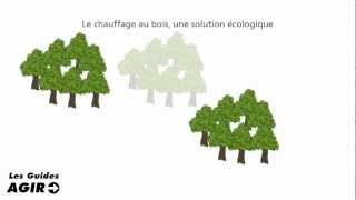 Le chauffage au bois neutre en CO2 [upl. by Eneres61]