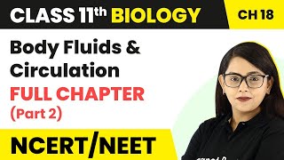 Class 11 Biology Chapter 18  Body Fluids And Circulation Full Chapter Explanation Part 2 [upl. by Schlesinger]