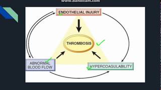 Thrombosis [upl. by Wurster583]