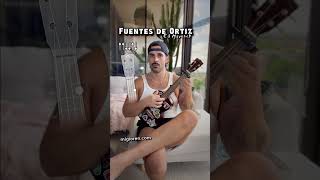 Fuentes de Ortiz  Ed Maverick music guitar slowedreverb rock musicgenre musica musicstyle [upl. by Schreibman]