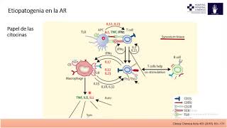 Fisiopatología de la Artritis Reumatoide Dr Salvador García [upl. by Annawyt]