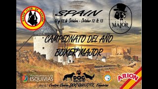 CAMPEONATO DEL AÑO BOXER MAJOR 2024 [upl. by Lain]