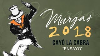 Cayó la Cabra  Ensayo MURGAS 2018 [upl. by Frodi565]