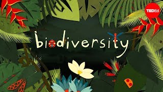 Why is biodiversity so important  Kim Preshoff [upl. by Gridley]