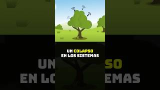 El Calentamiento Global está Debilitando la Capacidad de los Árboles para Absorber CO2 [upl. by Jamal]