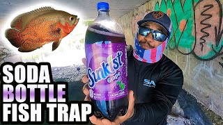 Soda Bottle Bait Fish Trap DIY [upl. by Moncear]