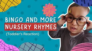 Bingo amp More Nursery Rhymes  Latest Toddlers Reaction  Kids Songs [upl. by Alakam]