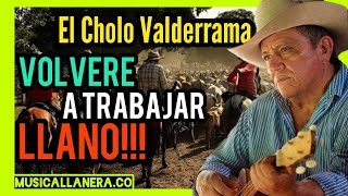 Volveré a trabajar Llano  El Cholo Valderrama 💥MusicaLlaneraCO 🤠 [upl. by Thamora807]