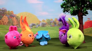 Cartoons For Children  SUNNY BUNNIES  LIGHT UP AND BOUNCE TOYPLAY EPISODE  Cartoons For Children [upl. by Ittam]