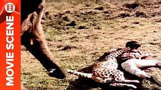 Elephant Saves rajus Life from leopard  Haathi Mere Saathi [upl. by Alleusnoc]