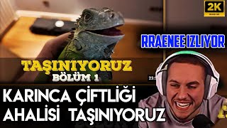 Rraenee Karınca Çifliğim AHALİSİ TAŞINIYORUZ VE BAŞLIYORUZ BÖLÜM 1 İzliyor Elraenn RRaenee [upl. by Aizat740]