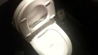 The automatic toilet seat opener is broken [upl. by Amor595]