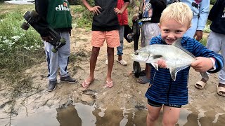 Catching small garrick with my 3 year old on lures [upl. by Nortyad]