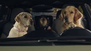 Puppy Barkleys Road Trip Tunes  Subaru Dog Tested TV Commercial [upl. by Nulubez]