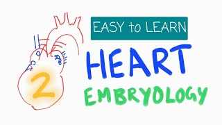 Development of HEART  Cardiovascular system  EMBRYOLOGY  part 2  සිංහලෙන් medicine sinhala [upl. by Lianna]