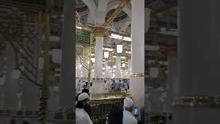 jaha roze e pak inside view of roza e rasool saw inside view of Nabi Karim saw madina sharif Saudi [upl. by Dougie]