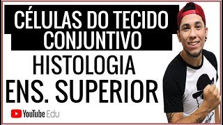 Aula CÃ©lulas do Tecido Conjuntivo  Aula de Biologia para Ens Superior [upl. by Elatan]