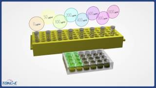 Stage 1 of 3 Generation of Stable Transfected Cell Lines Kill Curve [upl. by Gottlieb416]