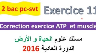 2 bac svt pc CORRECTION exercice 11 svt  ATP et muscle normale PC 2022 [upl. by Lennard]