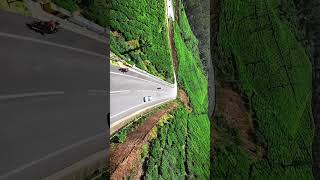 Chase u r dreams conquer u r goals himalayan450 djiavata2 fpv drone munnar gaproad nature [upl. by Siroval293]