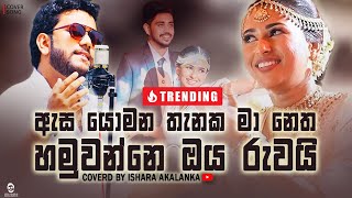 Asa yomana thanaka ma netha hamuwanne oba ruwai I ඇස යොමන තැනක I Coverd by Ishara Akalanka [upl. by Ettenauq]