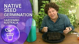 Four ways to germinate native seeds [upl. by Astrid]