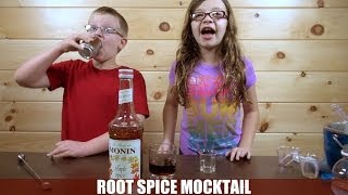 The Root Spice Mocktail NonAlcoholic  Virgin [upl. by Luebke]