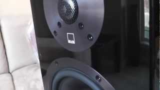 SVS Ultra Series Speakers Video Review [upl. by Rasure113]