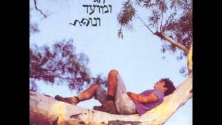 מאיר אריאל  טרמינל לומינלט [upl. by Maguire852]