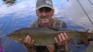 BARBEL FISHING RIVER TRENT FISKERTON  VIDEO 53 [upl. by Nanerb]