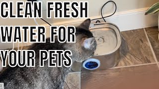 RELLATY CAT WATER FOUNTAIN REVIEW  Tips and Tricks For Your Pet Fountain [upl. by Torrey602]