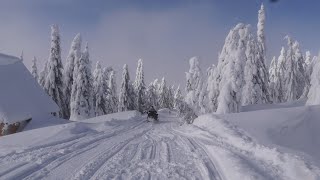 PRIMA NINSOARE ȘI ÎN MEHEDINȚI Iarna a dat primele semne stiriletvf [upl. by Sirovaj]