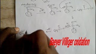 Baeyer villiger oxidation mechanism [upl. by Abercromby173]