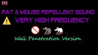 ⚠️Wall Penetration Version 🚫🐀🐁 Rat amp Mouse Repellent Sound Very High Frequency 1 Hour [upl. by Ycniuqal]