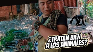 Zoologico de el salvador  La verdad detrás de las jaulas😬 [upl. by Sidon]