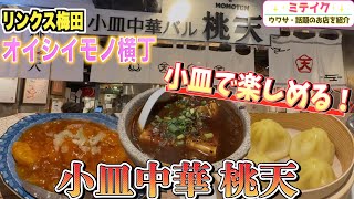 【リンクス梅田グルメ】コスパ良し❗️つまめる小皿中華【桃天】おすすめ料理ご紹介❗️ヨドバシカメラ梅田B1 [upl. by Puklich]