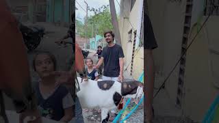 Bakra Eid ka asal tarika ❤️🥺 youtube youtubeshorts azhan5star [upl. by Atteuqaj889]