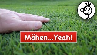 ENDLICH richtig RASEN MÄHEN  Spindelmäher YEAH [upl. by Gasperoni147]