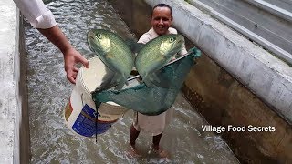 Catch and Cook Trout Fish  Rainbow Trout Fry  Naran Kaghan Valley  Village Food Secrets [upl. by Leibrag]