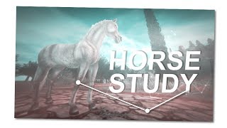 HORSE STUDY [upl. by Airebma882]