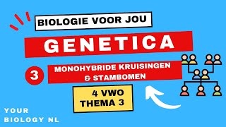 4 vwo  Genetica  3  Monohybride kruisingen amp stambomen [upl. by Ikkim]