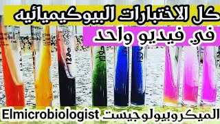 Identification of bacteria Microbiology practical  Biochemical tests شرح بالعربي [upl. by Simpkins316]