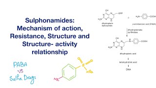 Sulfonamides Structure SAR Mechanism of action and Resistance  Infectious Disease [upl. by Chivers]