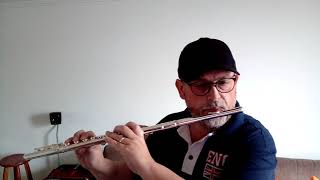 Trumpet Voluntary  HPurcell Clarke Prince  Flute Cover [upl. by Drape894]