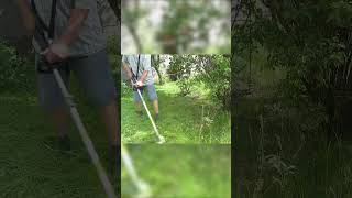 Extreme Yard Cleanup Mowing Tall Grass with Fun and Precision [upl. by Nicholl672]