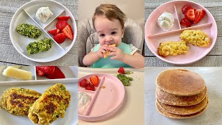 Freezer Friendly Baby Led Weaning Recipes – Prep Ahead [upl. by Atnoed]