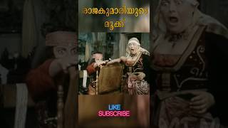 എന്തൊരു വല്യ മൂക്കാടോ  Movie Explainer Malayalam [upl. by Larrabee]